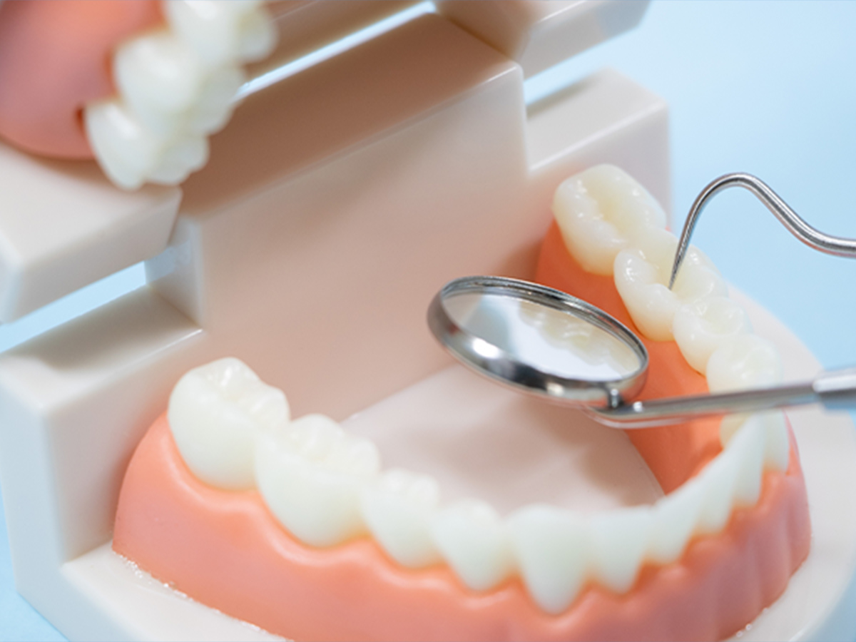 鈴木慎一歯科医院